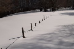 TCANNATA00004