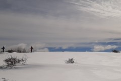 TCANNATA00010