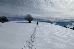 TCANNATA00011